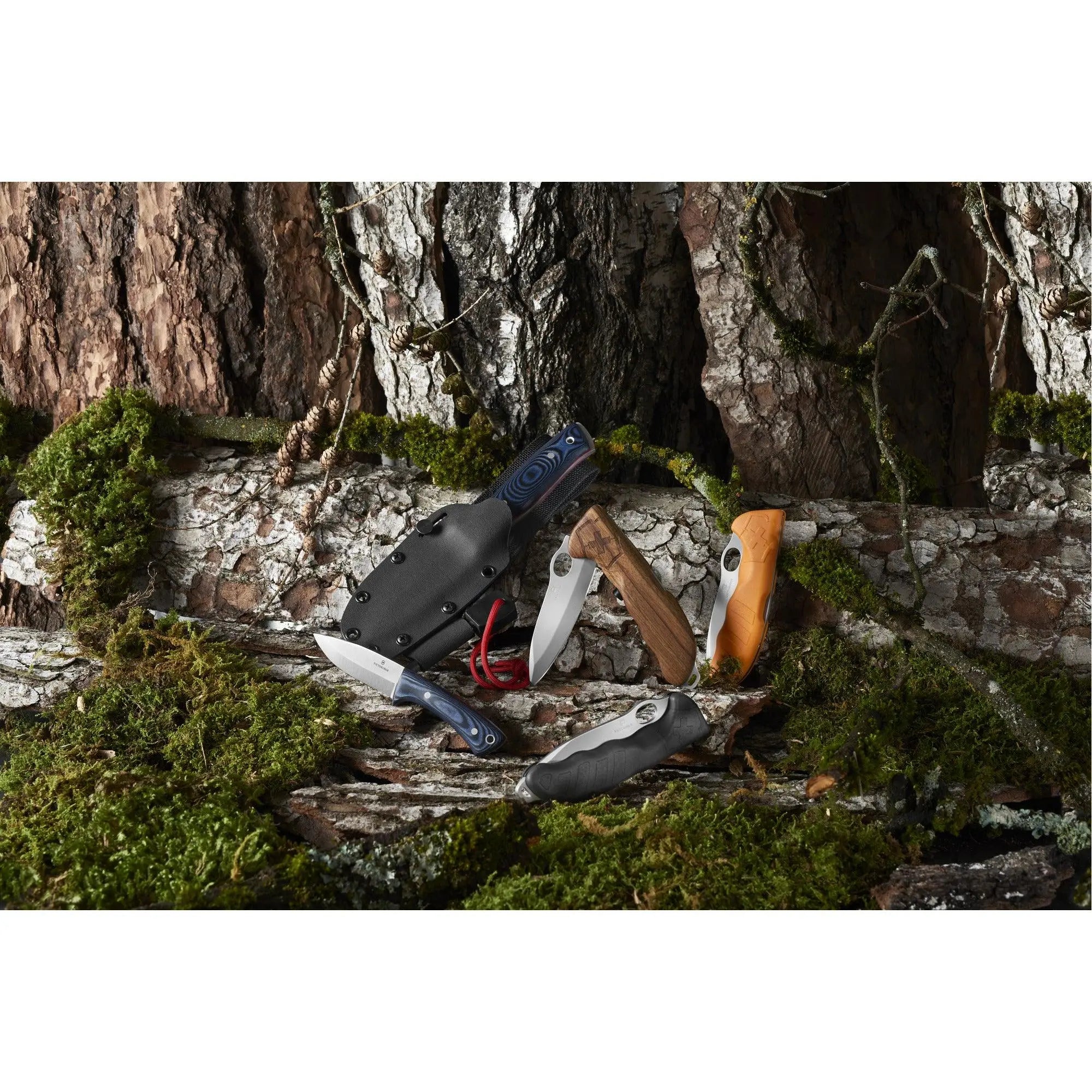 Victorinox Hunter Pro M Faltschachtel Orange 0.9411.M9 inklusive Etui Victorinox
