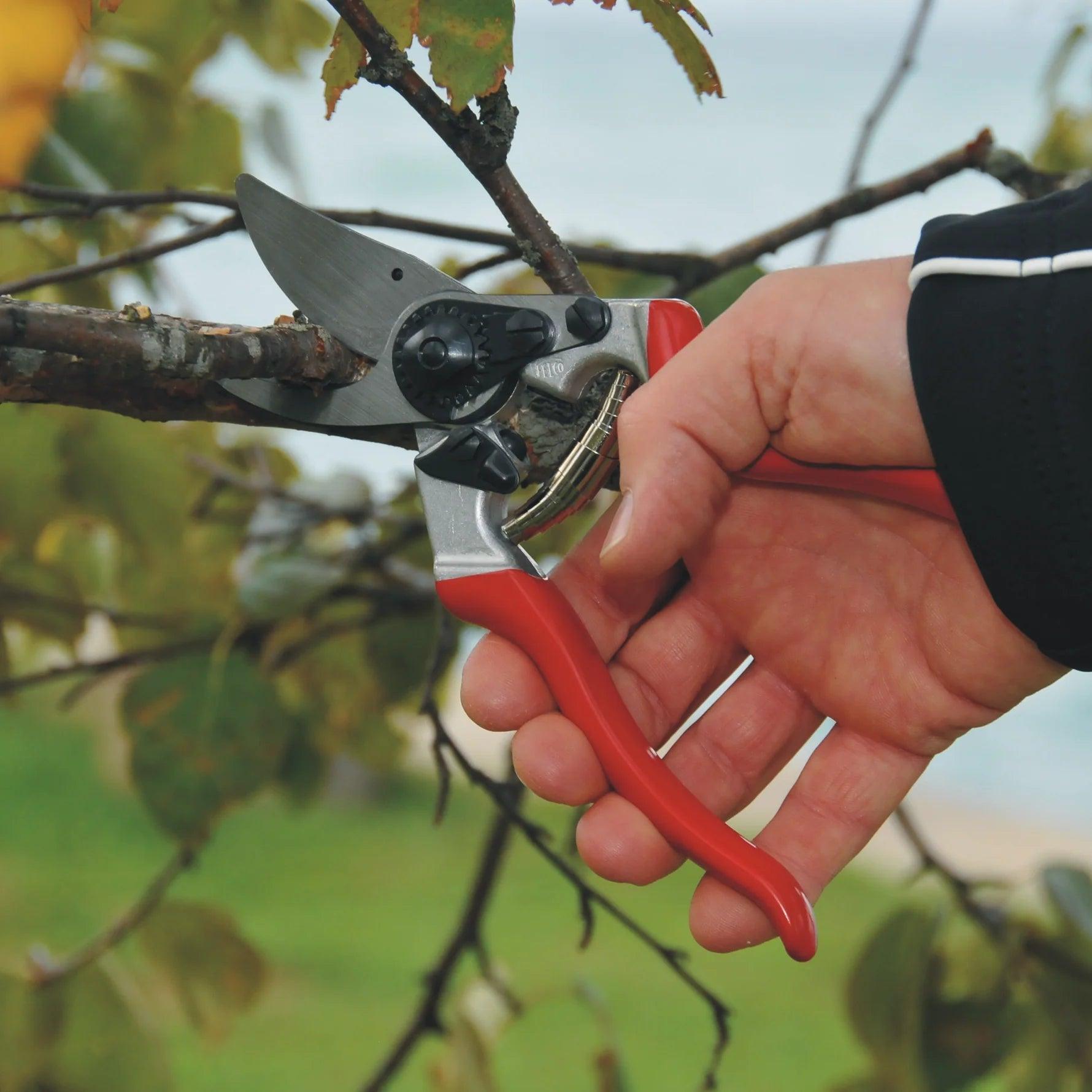 Felco 8 Baum-, Reb- und Gartenschere Felco