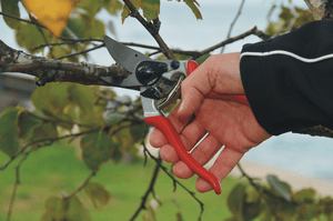 Felco 8 Baum-, Reb- und Gartenschere Felco