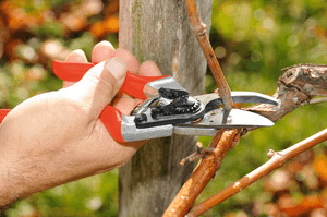 Felco 8 Baum-, Reb- und Gartenschere Felco