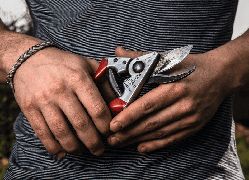 Felco 8 Baum-, Reb- und Gartenschere Felco
