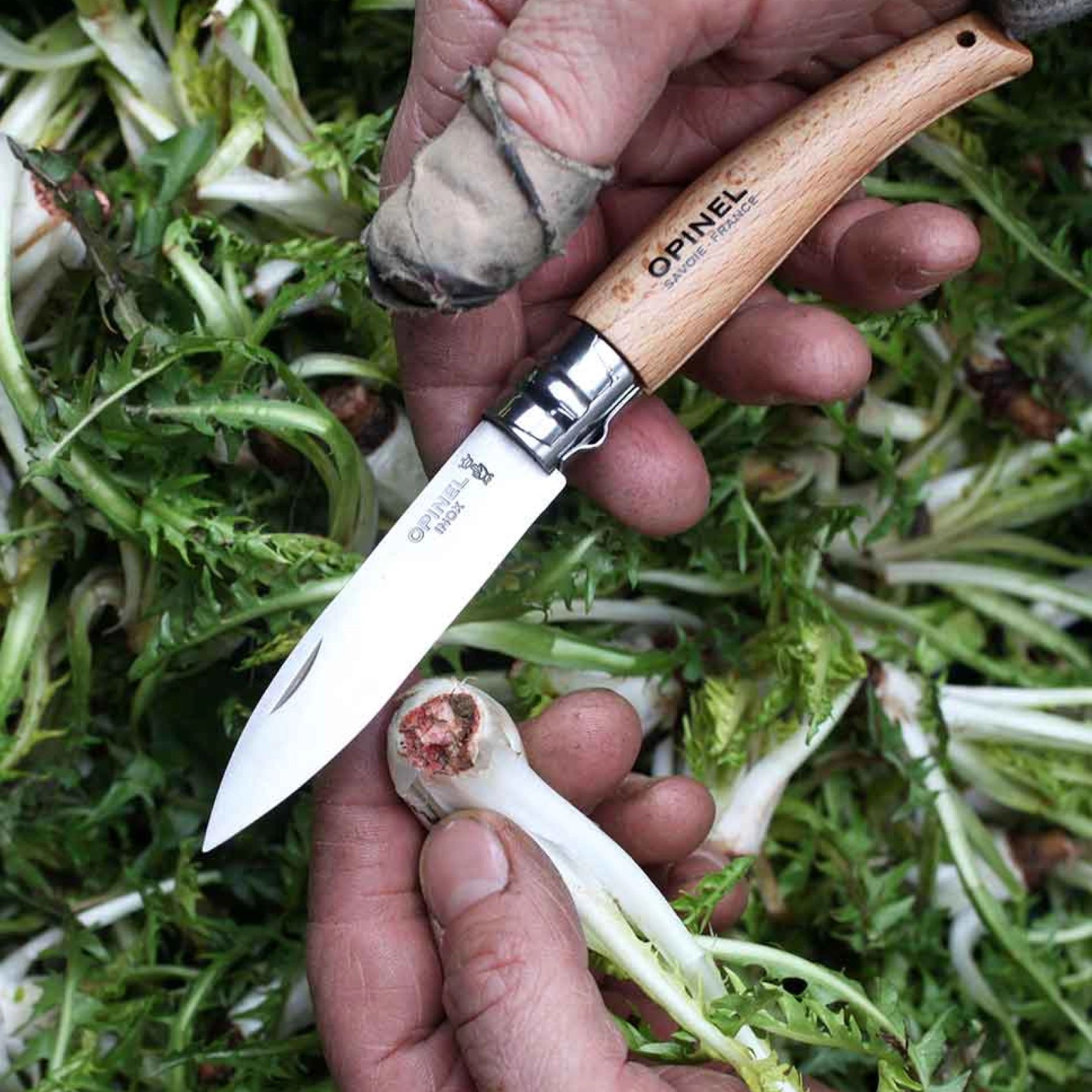 Opinel Gartenmesser N°08 – Robustes Unkraut- & Erntemesser mit Edelstahlklinge & Buchenholzgriff