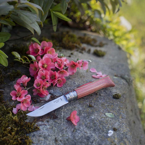 Opinel N°08 Laminierte Birke Rot – Elegantes Taschenmesser mit farbigem Birkenholzgriff & Geschenkbox