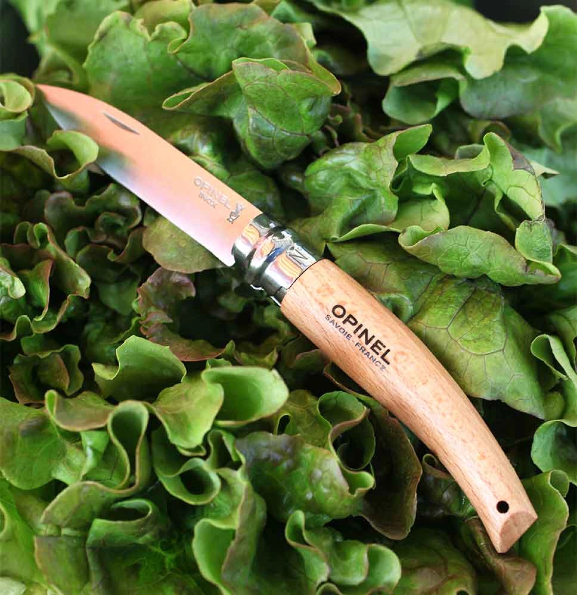 Opinel Gartenmesser N°08 – Robustes Unkraut- & Erntemesser mit Edelstahlklinge & Buchenholzgriff