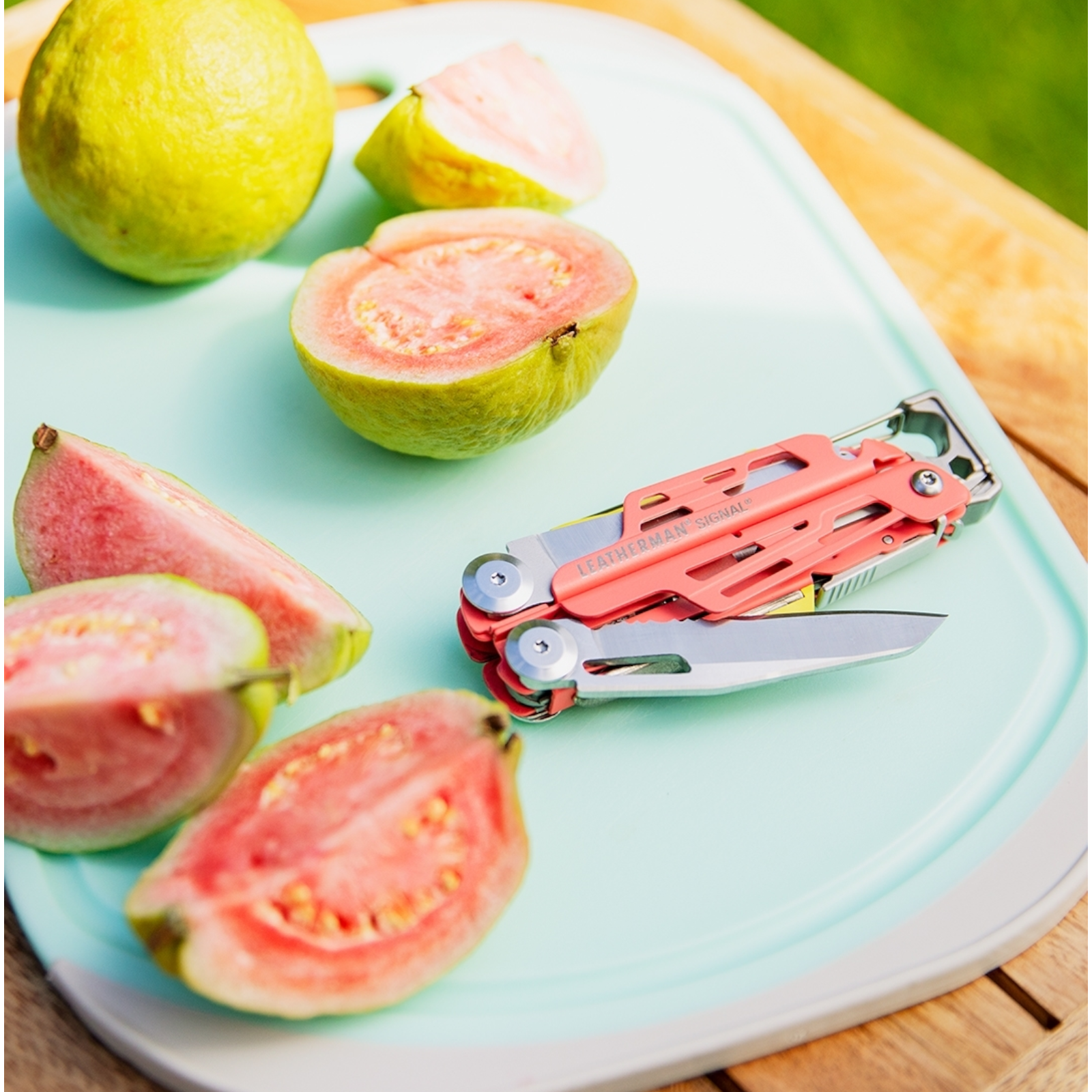 Leatherman SIGNAL® Guava 19 tools