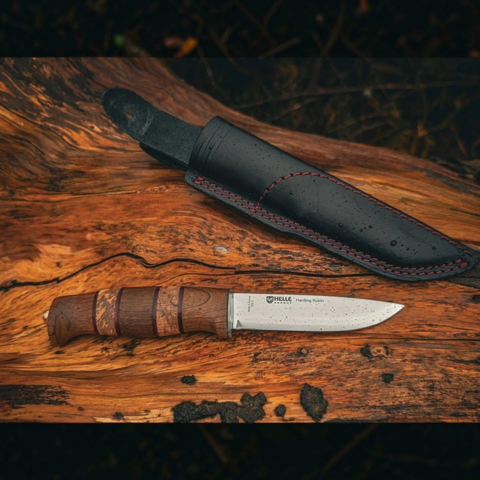 Helle Harding Rubin 2026 Limited Edition Messer H3LS Holz Sammlermesser aus Norwegen
