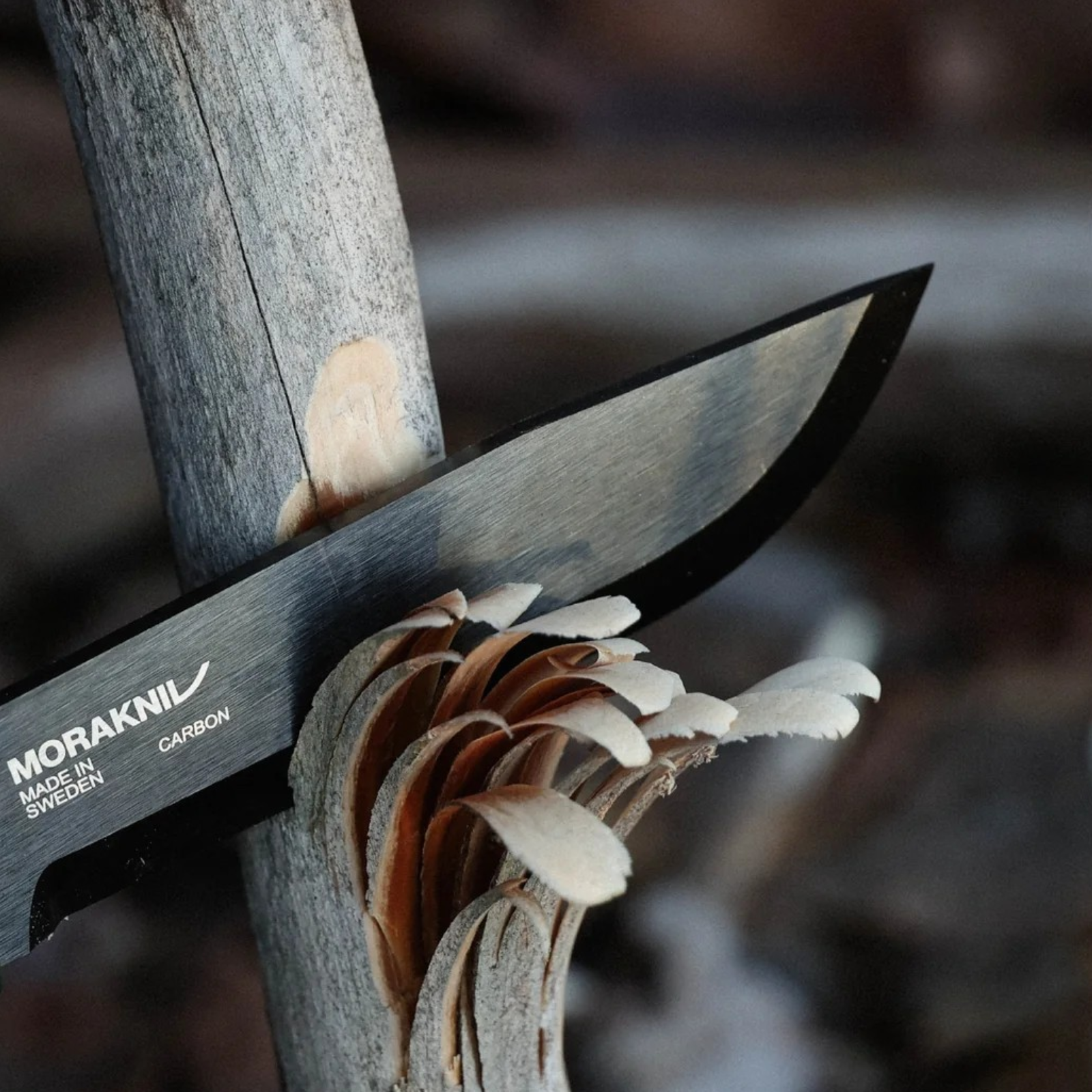 Morakniv Garberg BlackBlade (C) | Full-Tang Bushcraftmesser mit DLC-Klinge