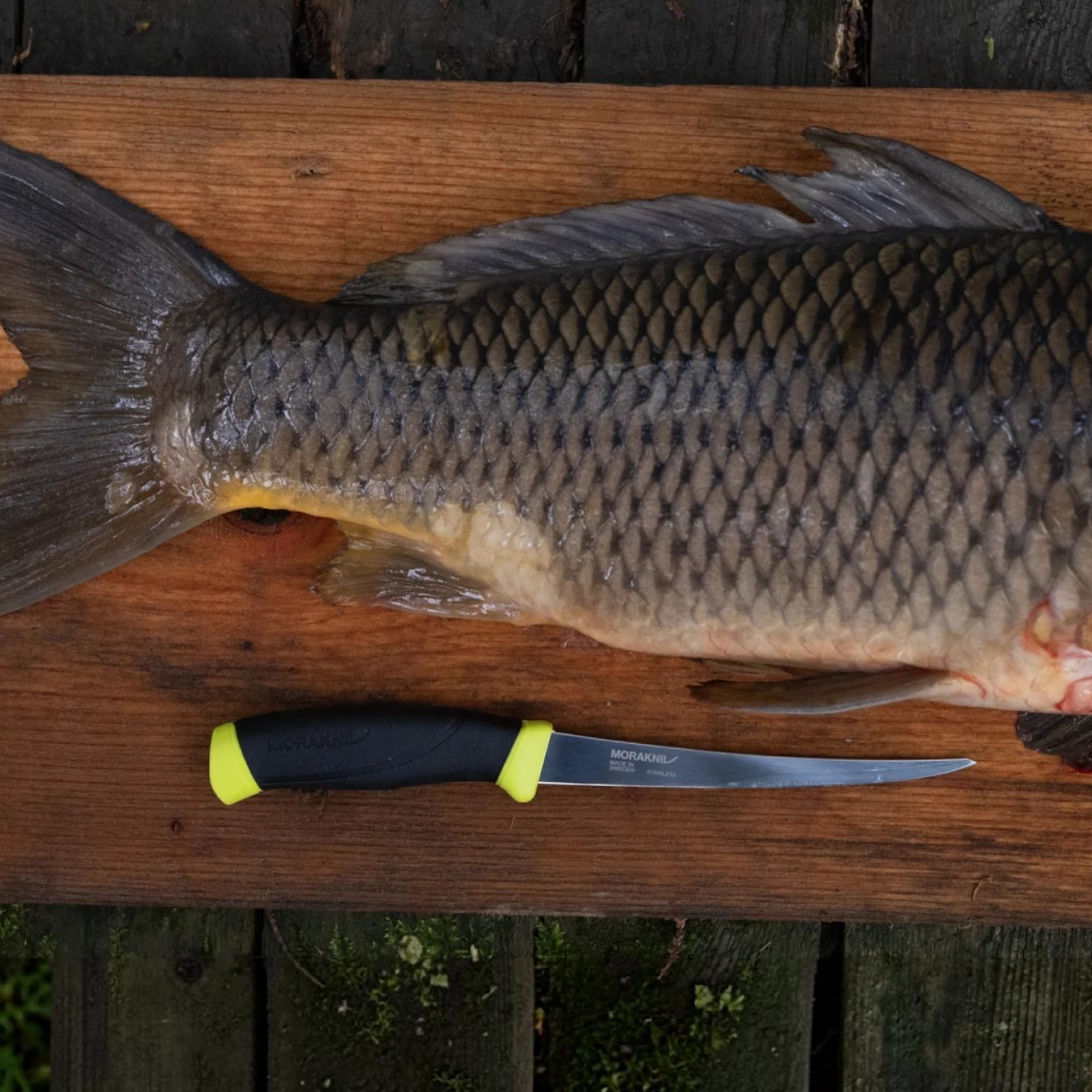 Morakniv Companion Fishing Fillet 155 – Flexibles Filetiermesser mit 12C27-Stahl aus Schweden Morakniv