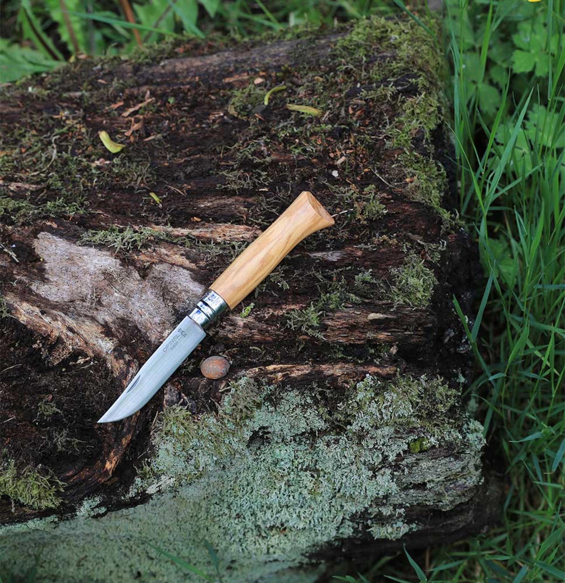Opinel N°08 Olivenholz – Elegantes Taschenmesser mit Edelstahlklinge & mediterranem Holzgriff