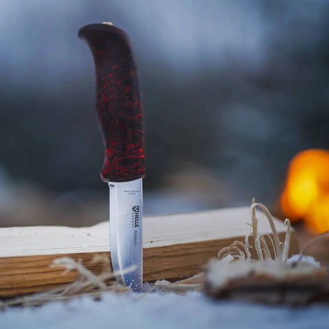 Helle Allmenn Messer 12C27 Scandi Curly Birch Outdoor Knife Norwegen + Lederscheide
