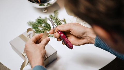 Victorinox Synergy X Alox 93mm – Rot, Silber oder Dunkelblau – 10 Funktionen