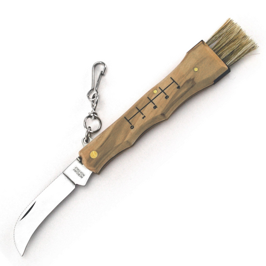 Mercury MICO 1 Pilzmesser mit Bürste MUSHROOM KNIFE – OLIVE WOOD