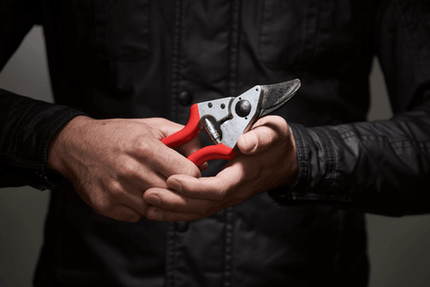 Felco 6 Baum-, Reb- und Gartenschere